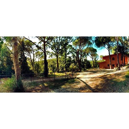 Agriturismo Poggio Al Pino 몬텔루포피오렌티노 외부 사진